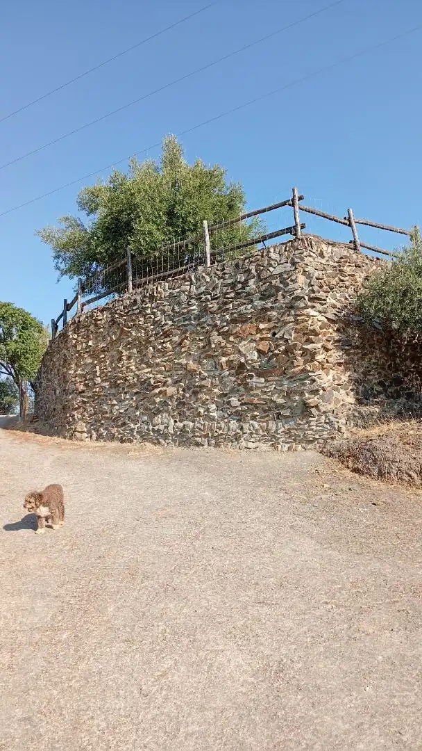 Finca rústica en venta en Calle de Antonio Machado, 29, La Puebla de los Infantes Vista exterior de Finca rústica en venta en La Puebla de los Infantes