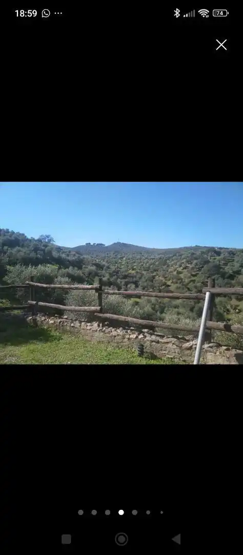 Finca rústica en venta en Calle de Antonio Machado, 29, La Puebla de los Infantes Jardín de Finca rústica en venta en La Puebla de los Infantes