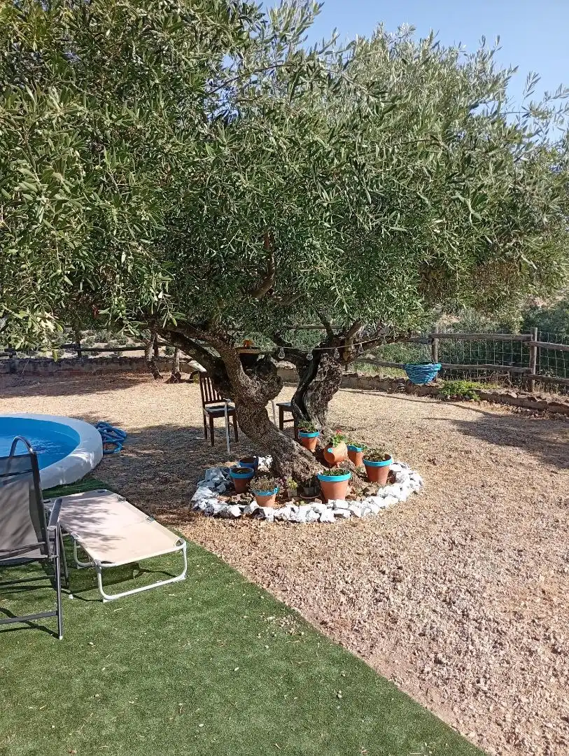 Finca rústica en venta en Calle de Antonio Machado, 29, La Puebla de los Infantes Jardín de Finca rústica en venta en La Puebla de los Infantes