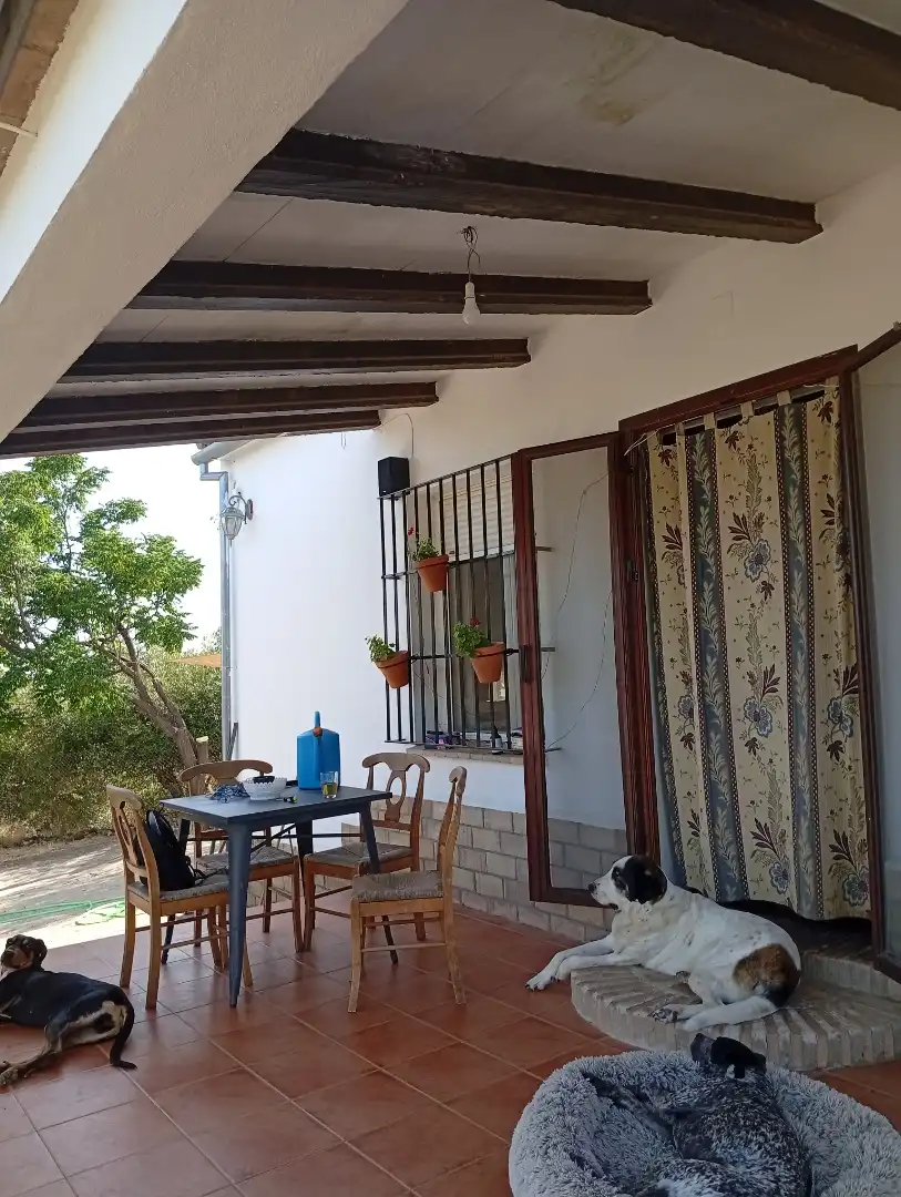 Finca rústica en venta en Calle de Antonio Machado, 29, La Puebla de los Infantes Terraza de Finca rústica en venta en La Puebla de los Infantes