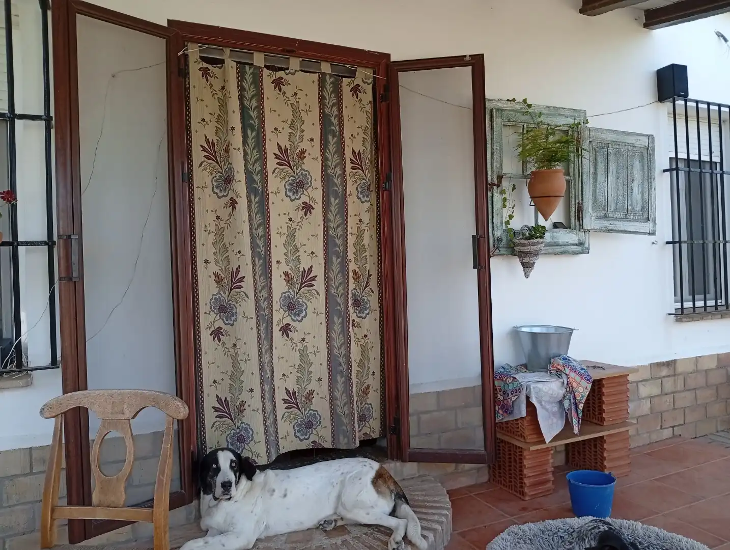 Finca rústica en venta en Calle de Antonio Machado, 29, La Puebla de los Infantes Jardín de Finca rústica en venta en La Puebla de los Infantes