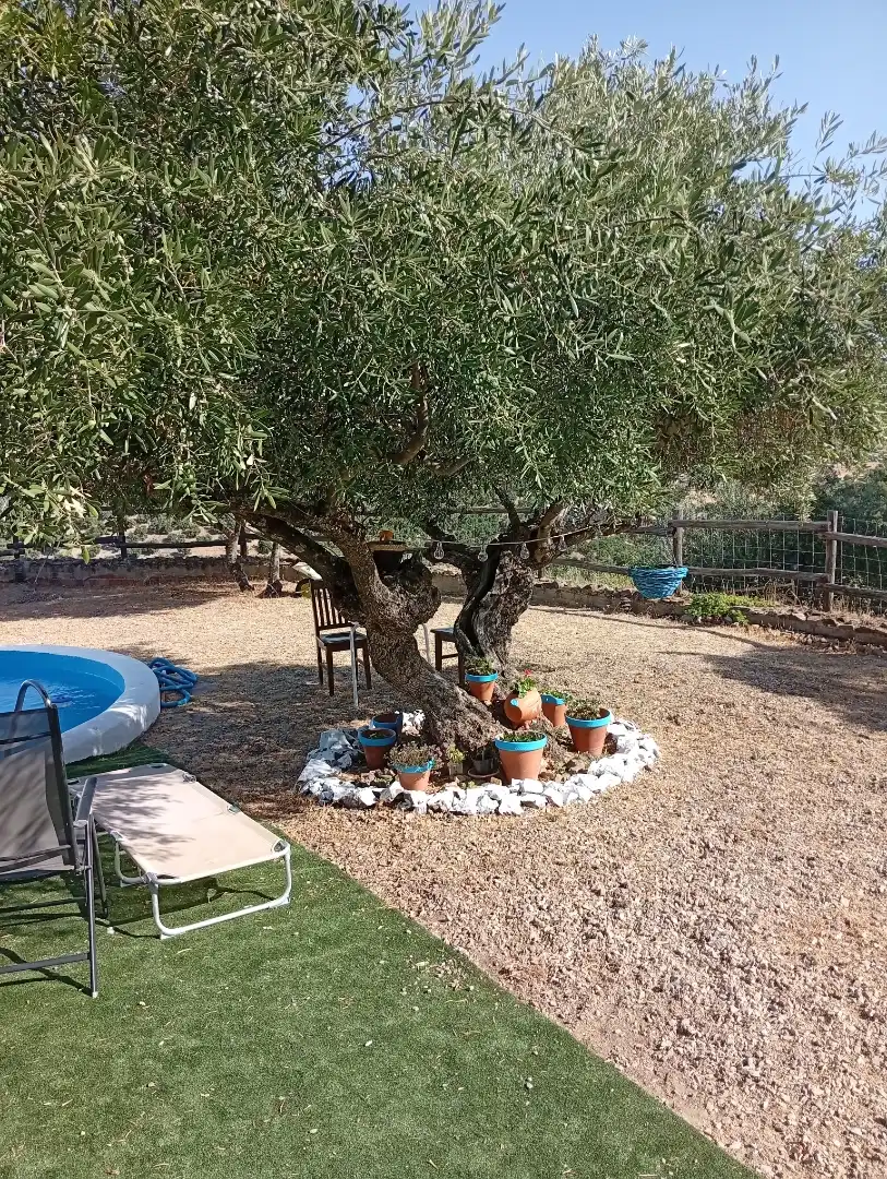 Finca rústica en venta en Calle de Antonio Machado, 29, La Puebla de los Infantes Finca rústica en venta en Calle de Antonio Machado, 29, La Puebla de los Infantes