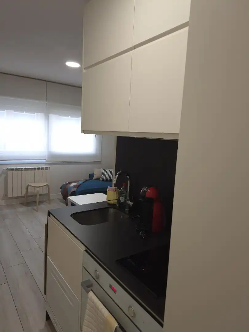 Apartament de lloguer a Rúa de García Barbón, 48, Centro - Areal Cuina de Apartament de lloguer en Vigo amb Calefacció, Parquet i Moblat