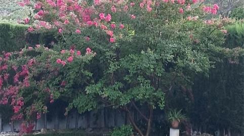 Photo 4 of Houses for sale in Camino de las Huertas Grandes, 1, Puente Jontoya - Puente de la Sierra - El Arroyo,  Jaén Capital