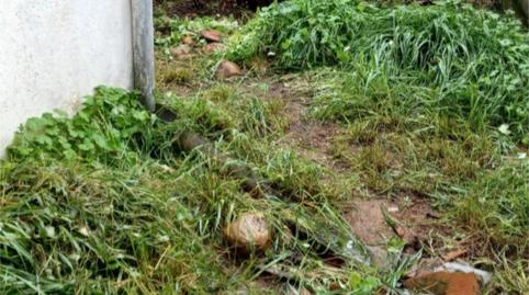 Foto 4 de Casa o chalet en venta en Calle Moralillo, 40, La Pueblanueva, Toledo