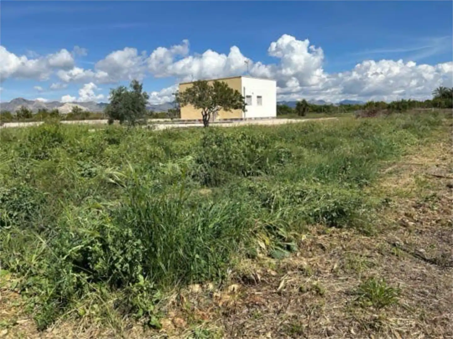 Einfamilien-Reihenhaus zum Verkauf in Montepinar - La Aparecida - Raiguero Einfamilien-Reihenhaus zum Verkauf in Orihuela mit Terrasse