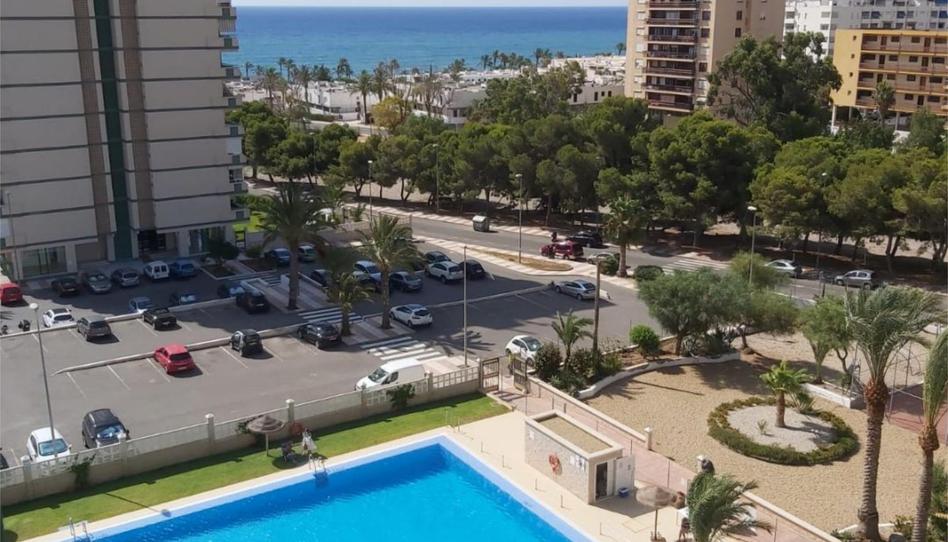 Flat for rent in Plaza Playa Paraíso, 1, Aguadulce Sur, Roquetas de Mar - image 1 Photo 1 of Flat for rent in Plaza Playa Paraíso, 1, Aguadulce Sur, Roquetas de Mar