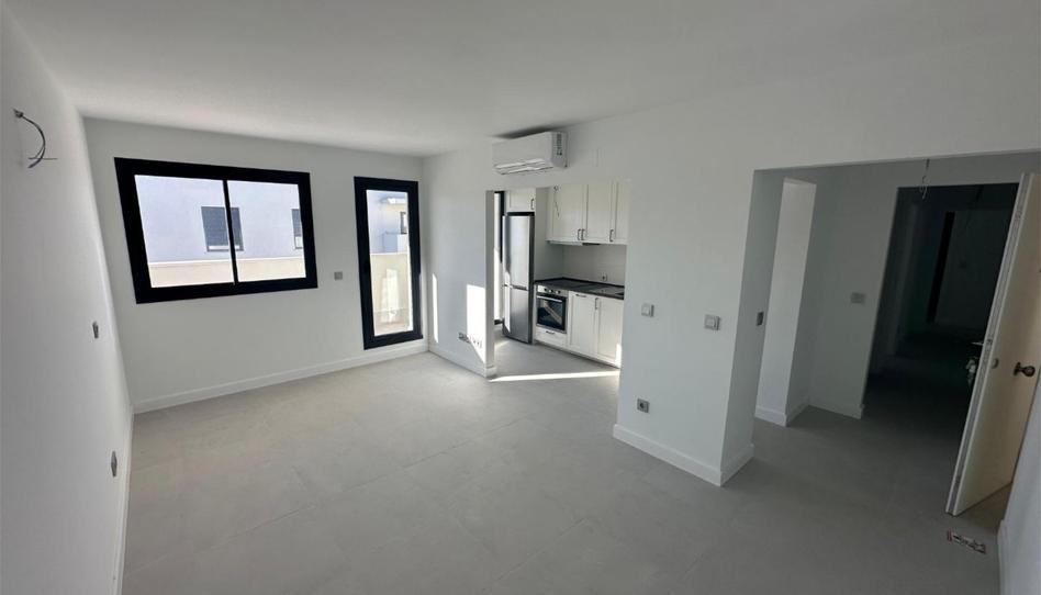 Piso en venta en Avenida Puerta del Sur, 52, Puertas del sur - Guadabajaque, Jerez de la Frontera - imagen 1 Foto 1 de Piso en venta en Avenida Puerta del Sur, 52, Puertas del sur - Guadabajaque, Jerez de la Frontera