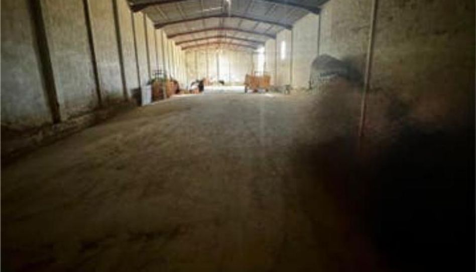 Fabrikhallen zur Miete in Encinarejo de Córdoba, Córdoba Capital - Bild 1 Foto 1 von Fabrikhallen zur Miete in Encinarejo de Córdoba, Córdoba Capital