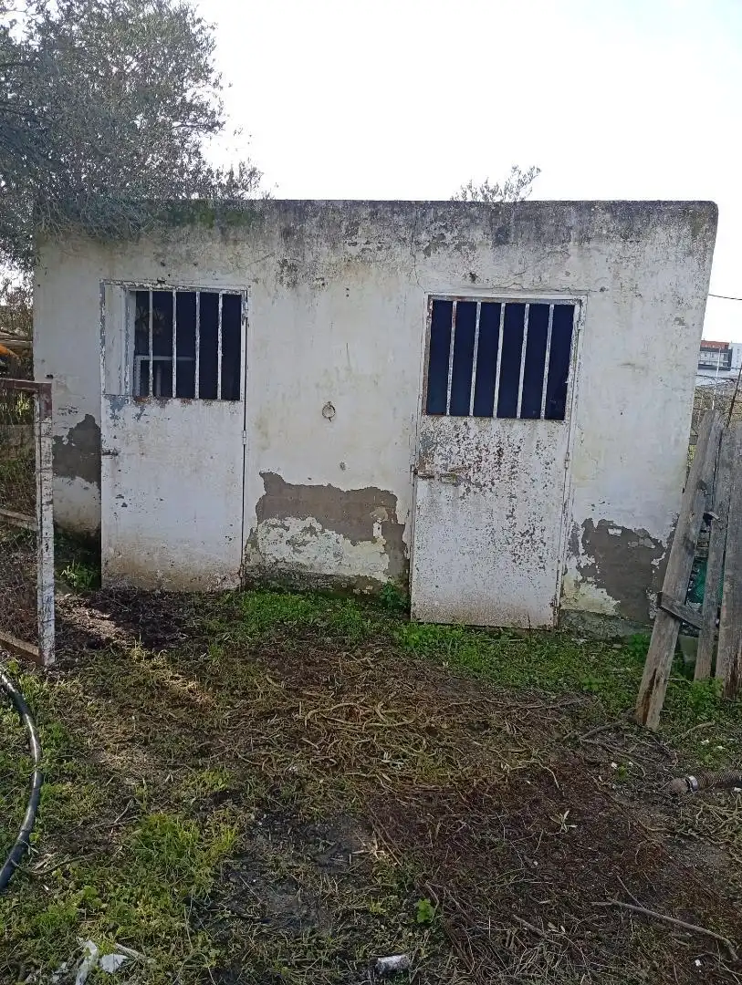 Vista exterior de Casa o chalet en venta en Lebrija con Jardín privado, Terraza y Trastero