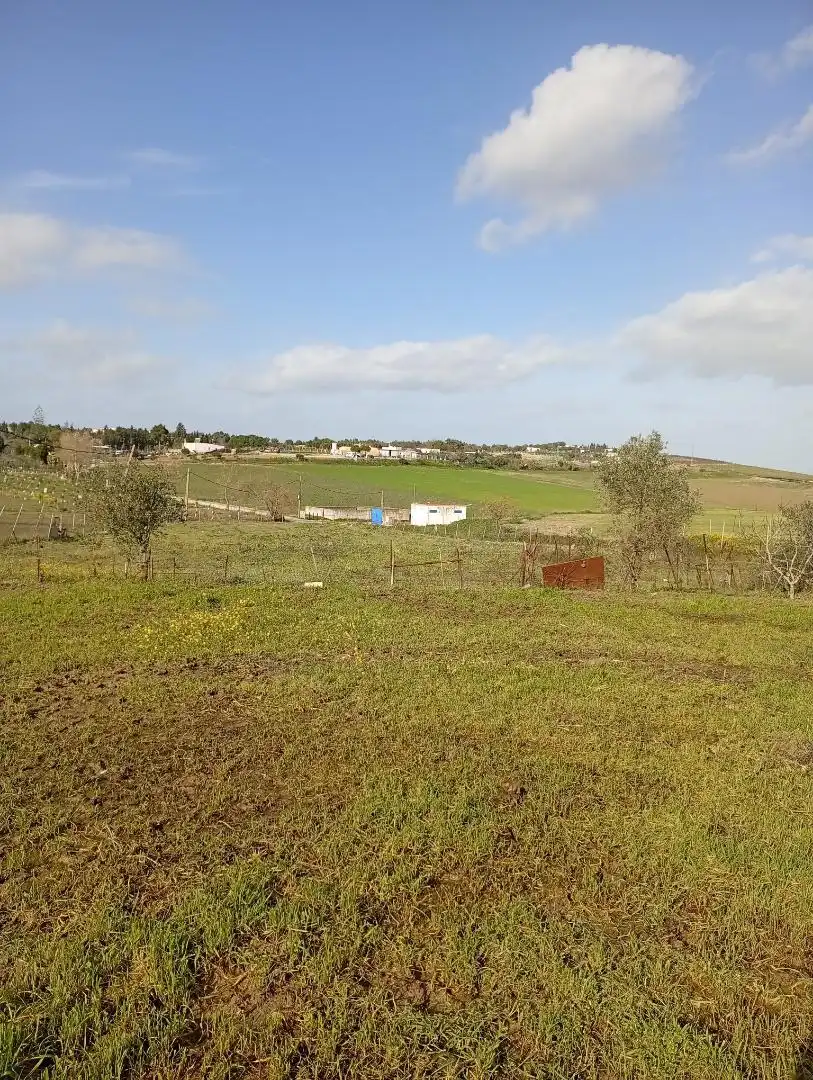 Casa o chalet en venta en Lebrija con Jardín privado, Terraza y Trastero