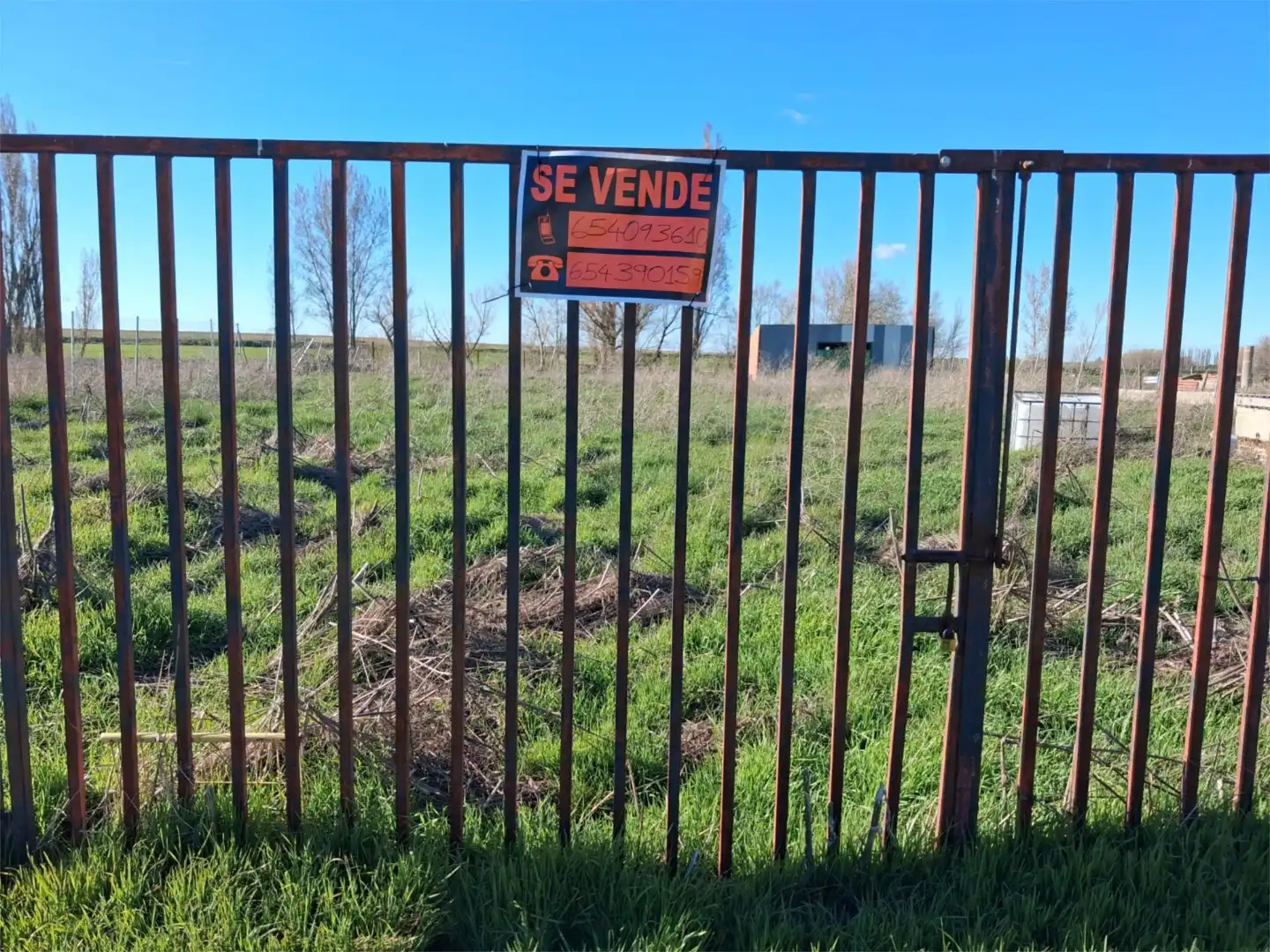 Land for sale in Rasueros