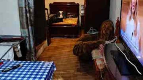 Photo 5 of Lofts for sale in Sector Sur,  Córdoba Capital