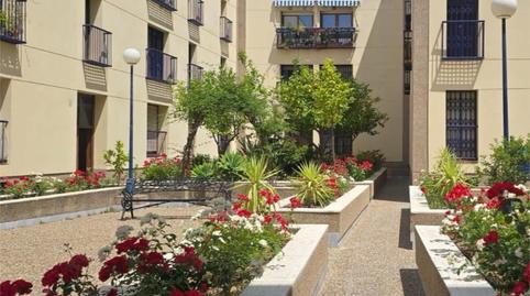 Photo 2 of Flat for sale in Plaza de San Quintín, 5, Feria,  Sevilla Capital