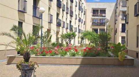 Photo 3 of Flat for sale in Plaza de San Quintín, 5, Feria,  Sevilla Capital