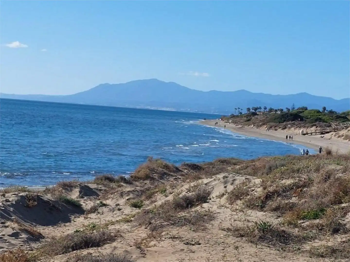 Vista exterior de Casa o xalet en venda en Marbella amb Aire condicionat, Calefacció i Jardí privat