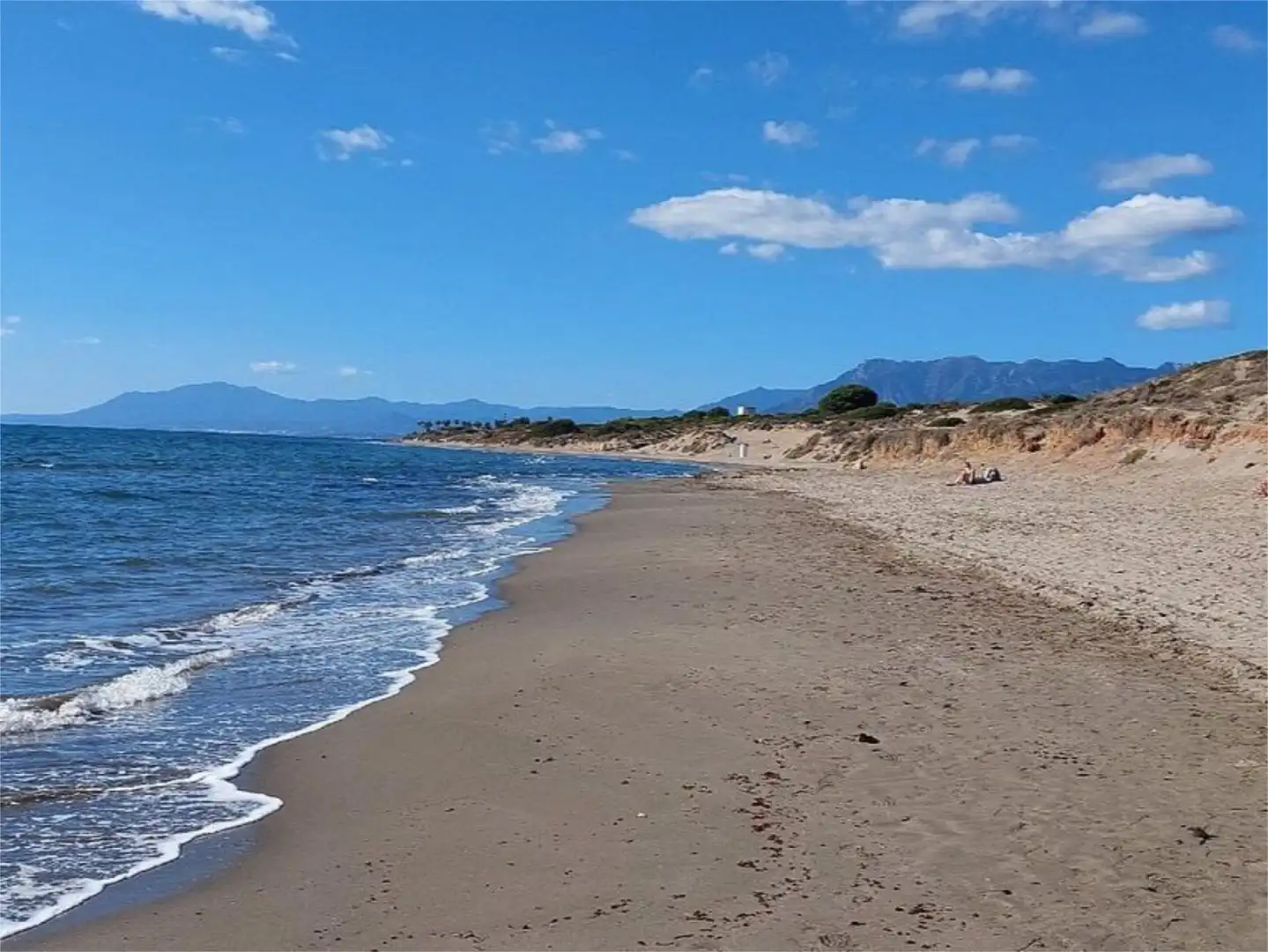 Vista exterior de Casa o xalet en venda en Marbella amb Aire condicionat, Calefacció i Jardí privat