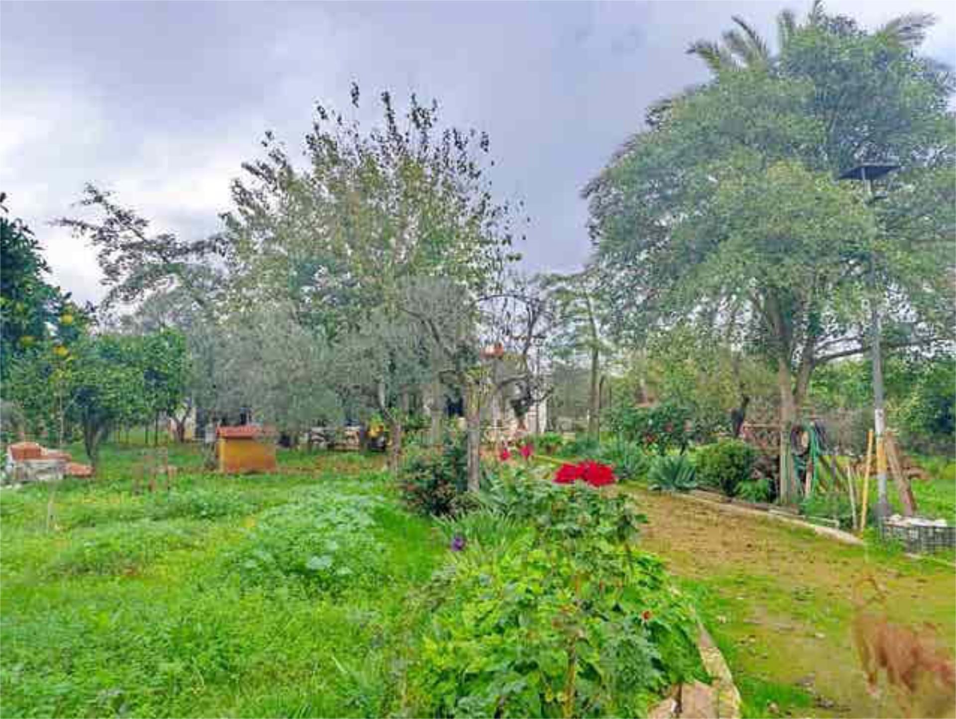 Garten von Einfamilien-Reihenhaus zum Verkauf in Umbrete mit Terrasse und Schwimmbad