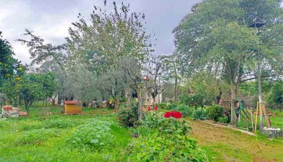 Einfamilien-Reihenhaus zum Verkauf in Umbrete, Sevilla - Bild 1 Foto 1 von Einfamilien-Reihenhaus zum Verkauf in Umbrete, Sevilla