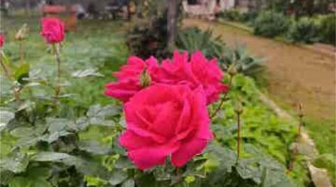 Einfamilien-Reihenhaus zum Verkauf in Umbrete, Sevilla - Bild 3 Foto 3 von Einfamilien-Reihenhaus zum Verkauf in Umbrete, Sevilla