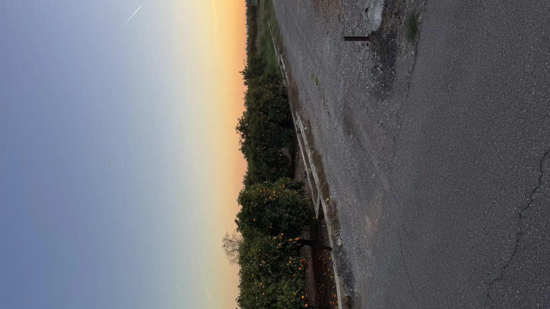 Country homes for sale in Cv-1850, 91, Piscinas Exterior view of Country homes for sale in Burriana / Borriana