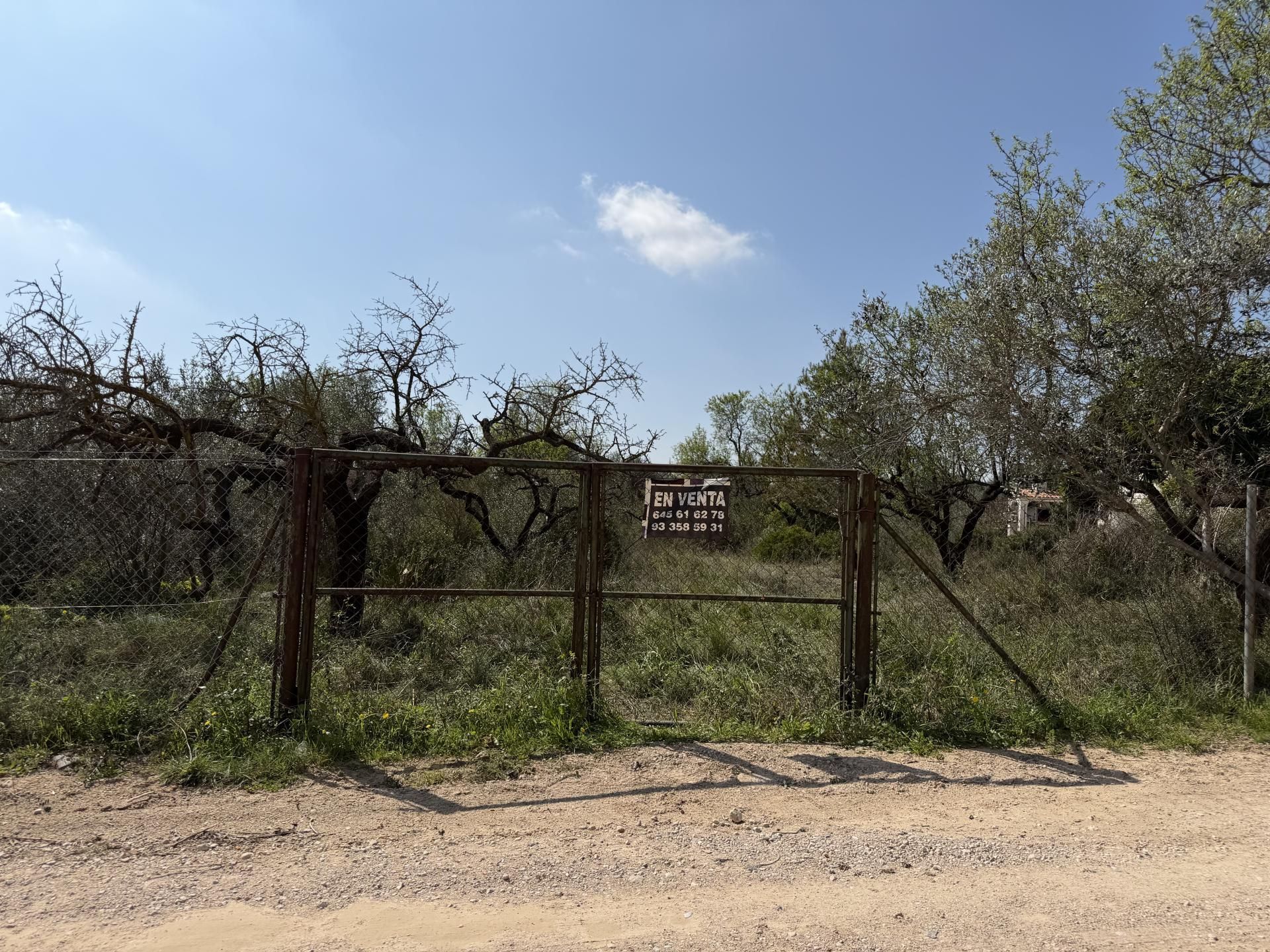 Country homes for sale in El Montmell