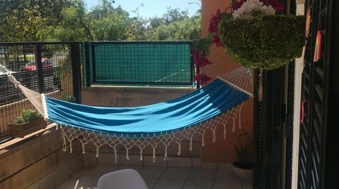 Foto 5 de Planta baja en venta en Carrer de Gaston Vuillier, 10, Estadi Balear,  Palma de Mallorca