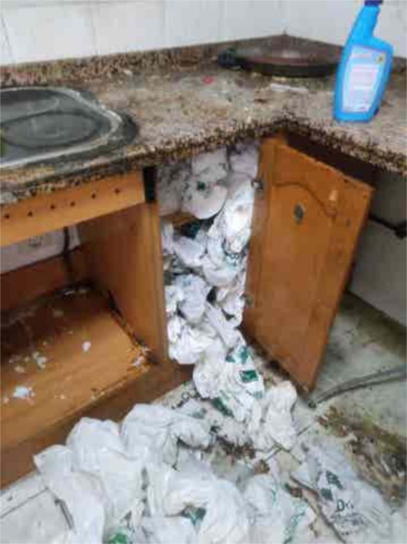 Küche von Abstellraum zur Miete in Pedralba