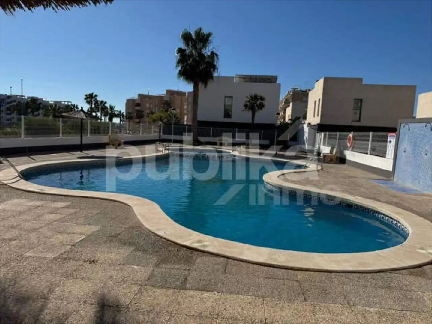 Single-family semi-detached for sale in El Raso Swimming pool of Single-family semi-detached for sale in Guardamar del Segura with Terrace and Swimming Pool