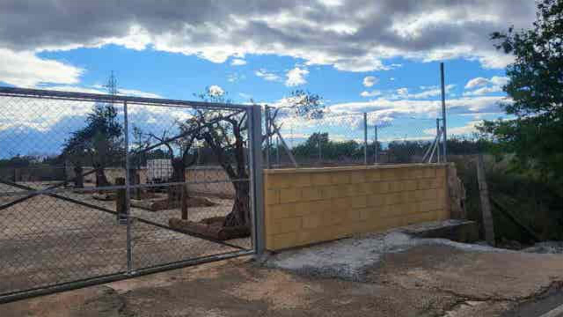 Garatge de lloguer a Los Girasoles Jardí de Garatge de lloguer en San Vicente del Raspeig / Sant Vicent del Raspeig