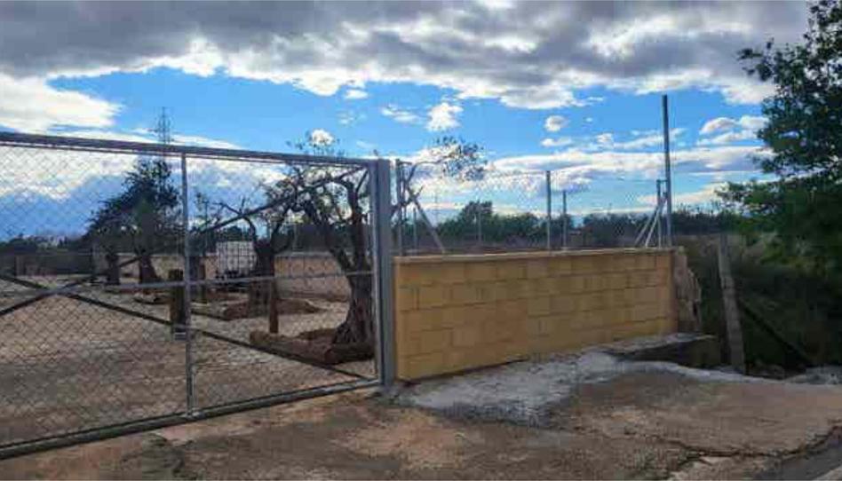 Garatge de lloguer a Los Girasoles, San Vicente del Raspeig / Sant Vicent del Raspeig - imatge 1 Foto 1 de Garatge de lloguer a Los Girasoles, San Vicente del Raspeig / Sant Vicent del Raspeig