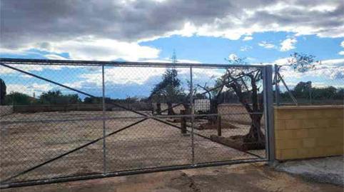 Garatge de lloguer a Los Girasoles, San Vicente del Raspeig / Sant Vicent del Raspeig - imatge 2 Foto 2 de Garatge de lloguer a Los Girasoles, San Vicente del Raspeig / Sant Vicent del Raspeig