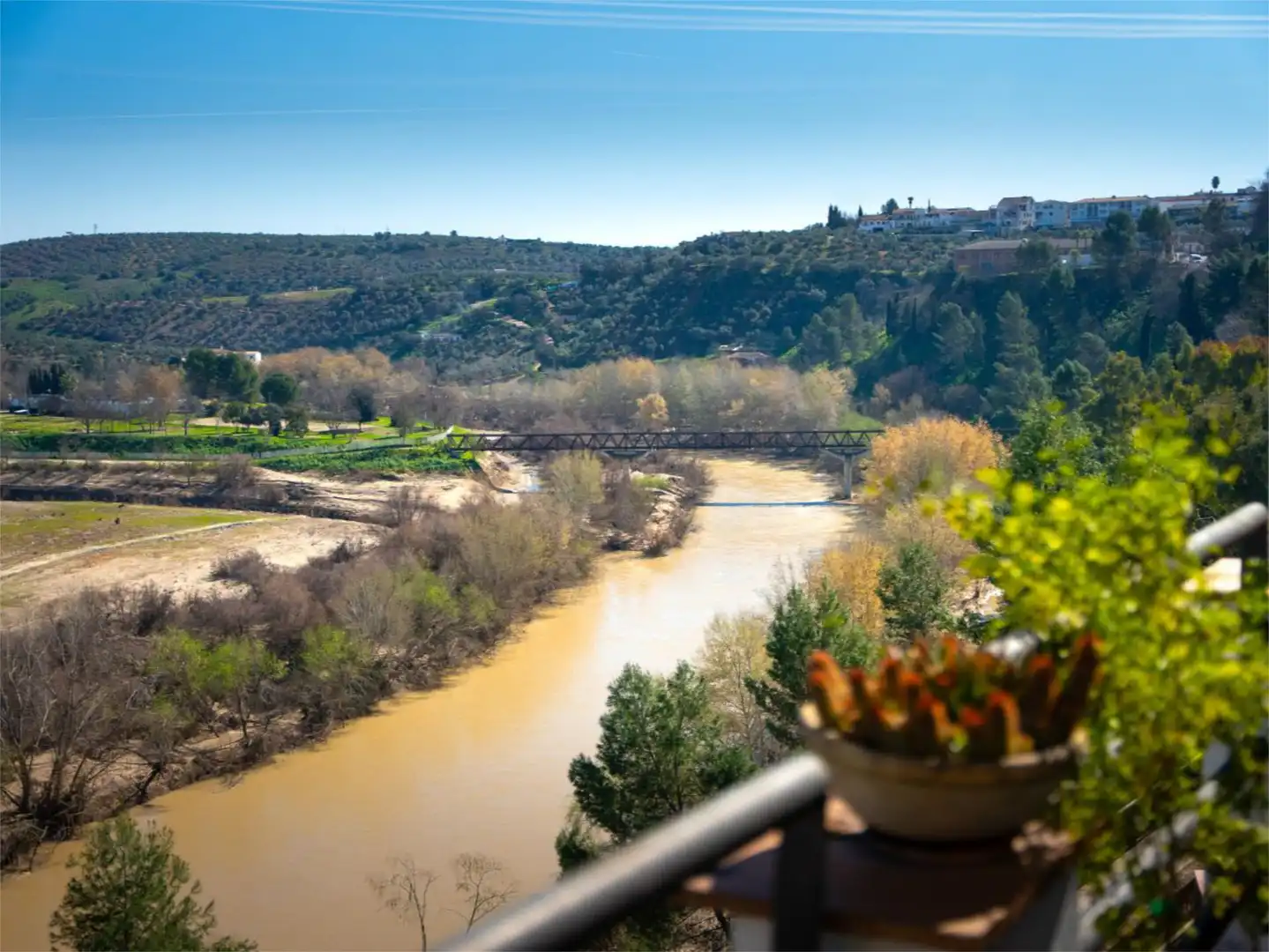 Casa adosada en venta en Calle Herrerías, 51, Montoro Jardín de Casa adosada en venta en Montoro con Aire acondicionado, Calefacción y Terraza