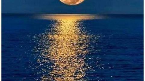 Foto 5 de Apartamento de alquiler en Carrer del Cap de la Nau, 1, Playa de Gandia, Gandia