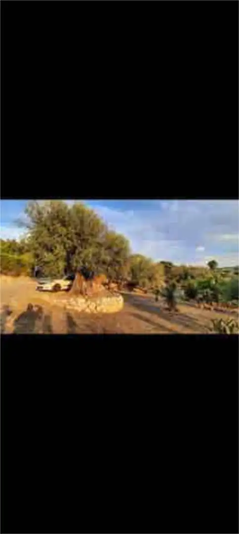 Casa o xalet en venda a Centro Jardí de Casa o xalet en venda en Vélez-Málaga amb Terrassa i Piscina