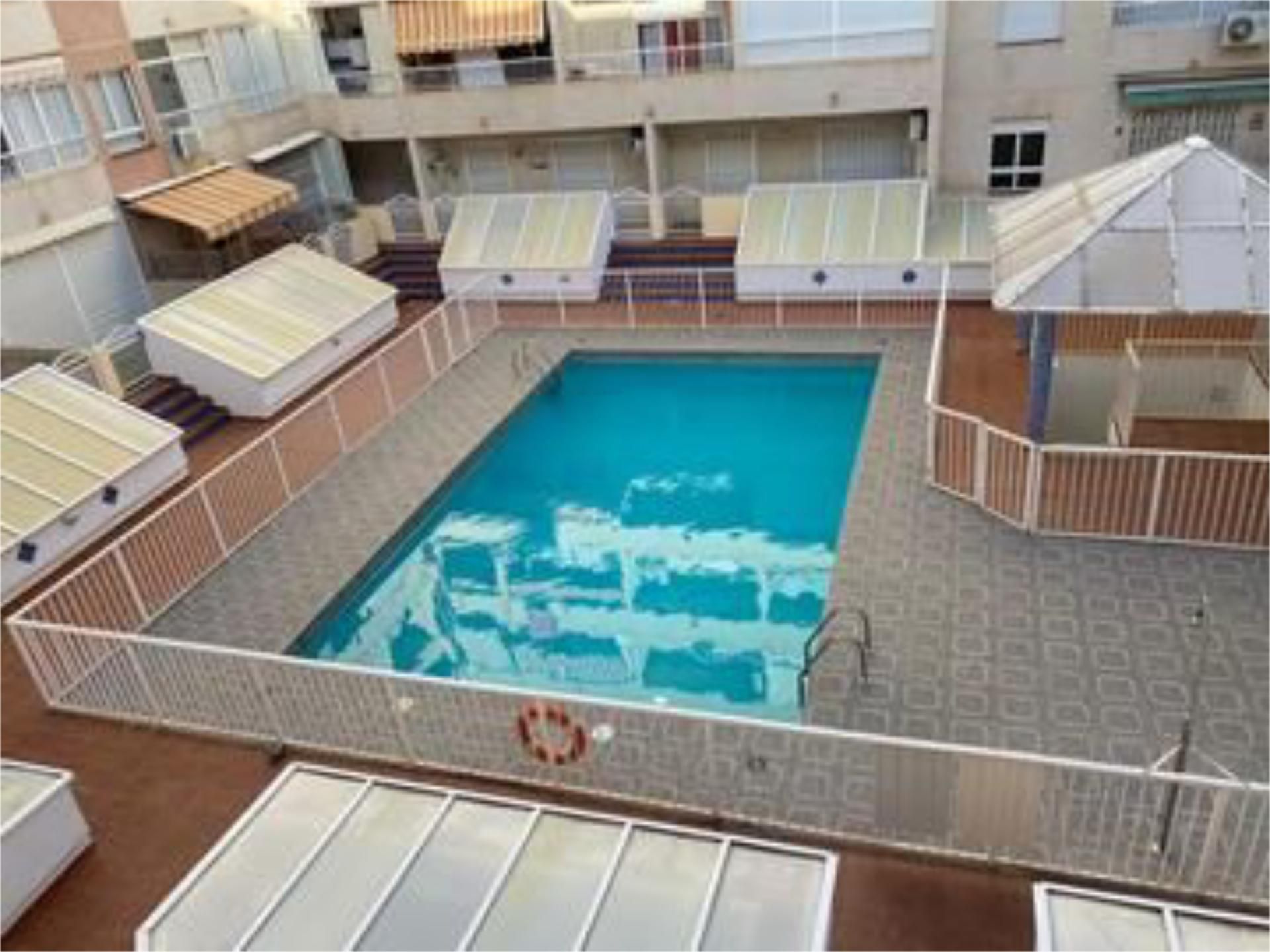 Piscina de Estudio de alquiler en Torrevieja con Aire acondicionado, Calefacción y Terraza