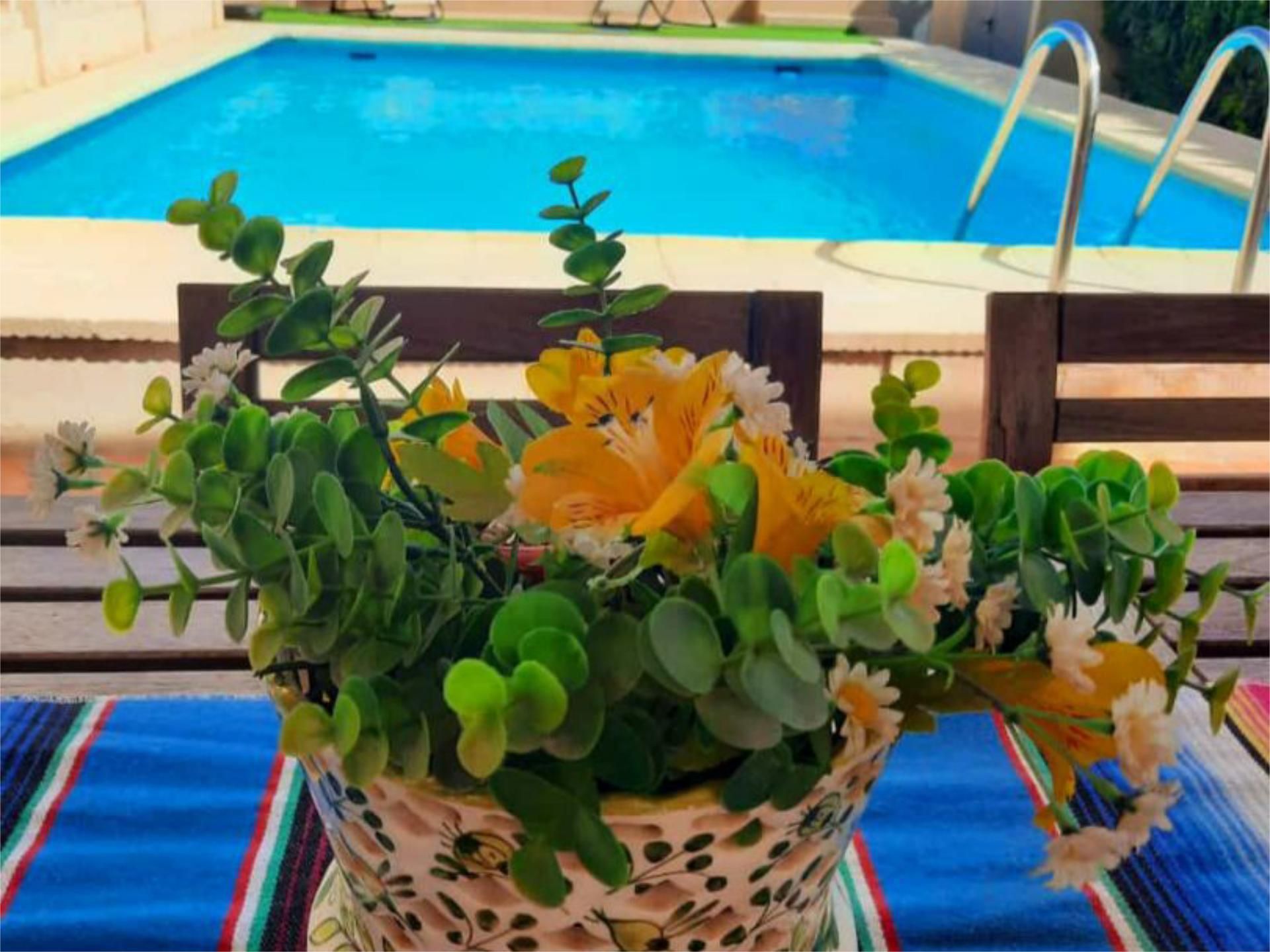 Swimming pool of Houses for rent in Vilamarxant  with Air Conditioner, Private garden and Terrace