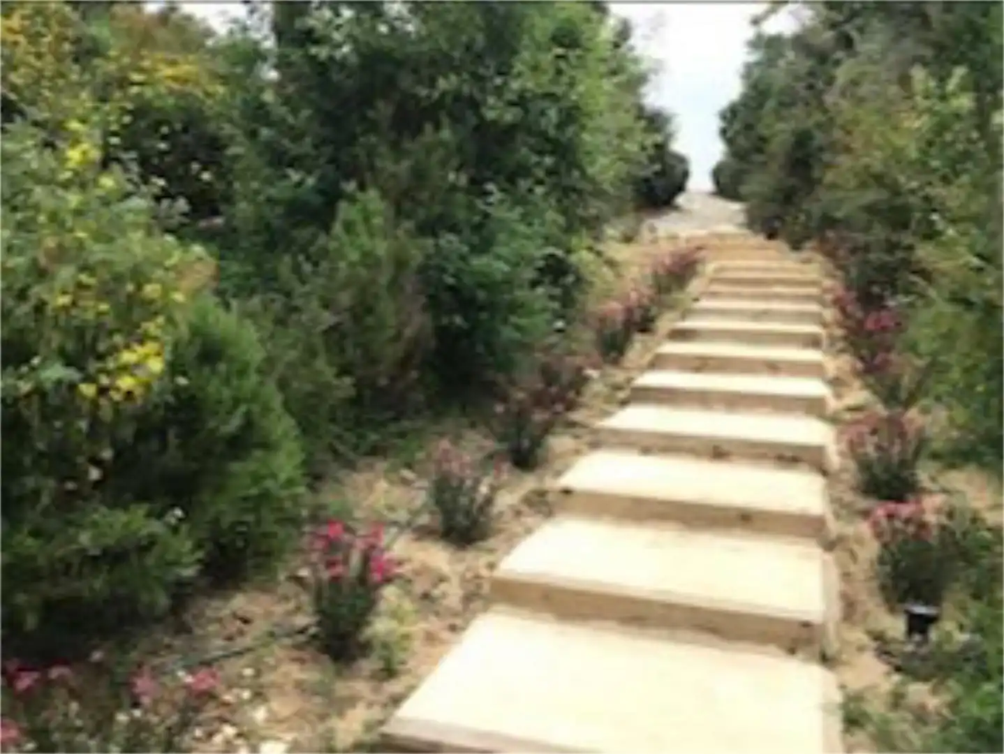 Houses for sale in Carretera de Patria, 78, Vejer Garden of Houses for sale in Vejer de la Frontera with Air Conditioner, Heating and Private garden
