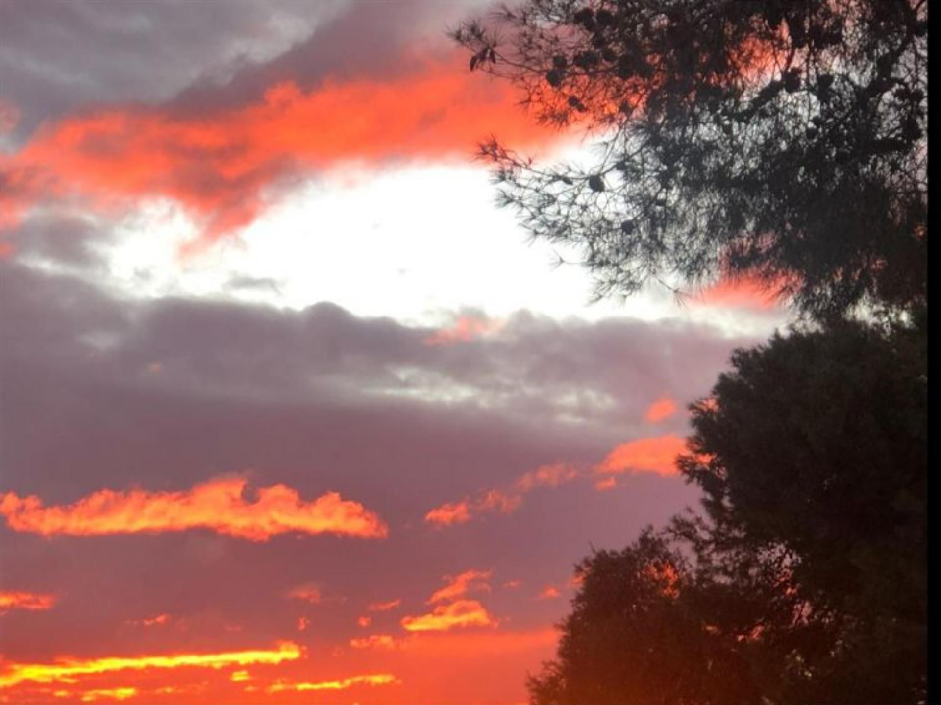 Vista exterior de Pis en venda en Alginet amb Aire condicionat, Calefacció i Jardí privat