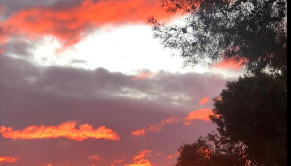 Pis en venda a Urbanización San Patricio, 114, Alginet, Valencia - imatge 1 Foto 1 de Pis en venda a Urbanización San Patricio, 114, Alginet, Valencia