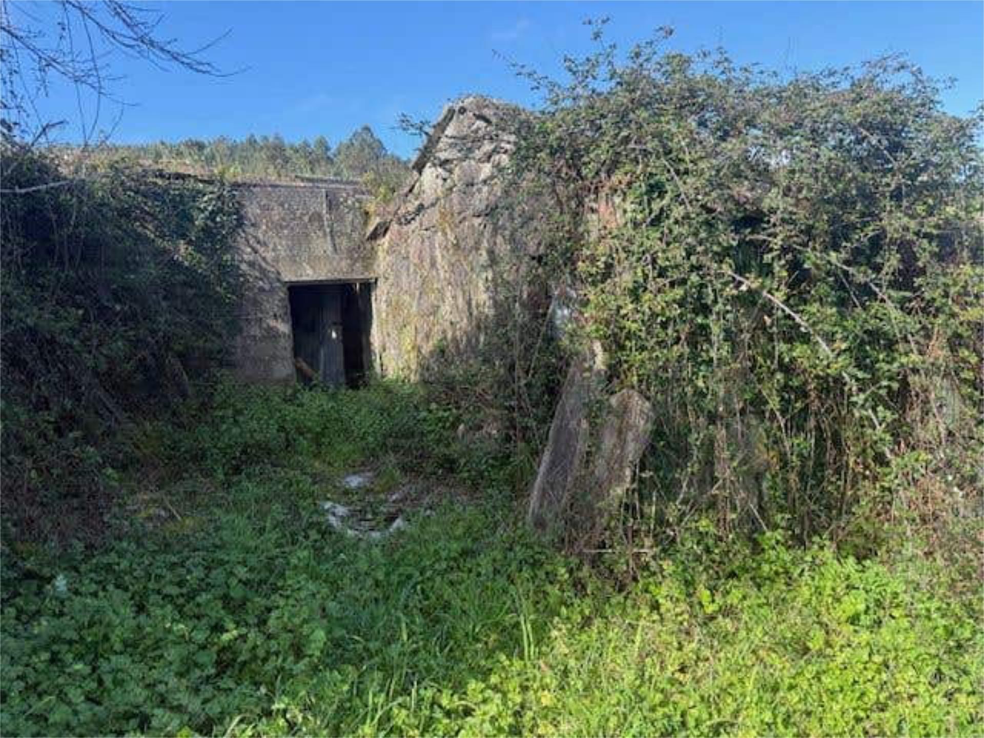 Vista exterior de Casa o chalet en venta en Pontevedra Capital 