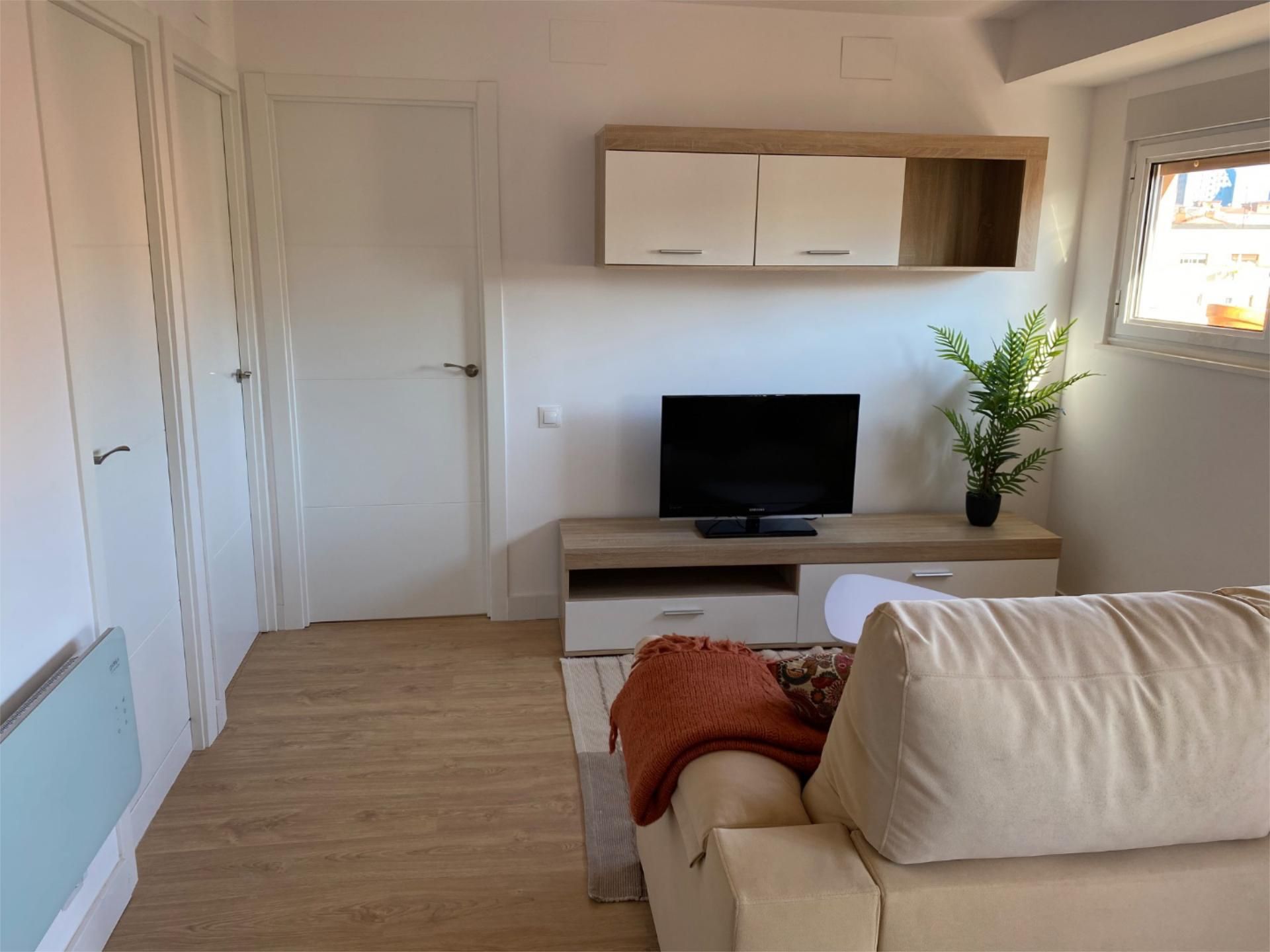 Sala d'estar de Pis de lloguer en Oviedo  amb Calefacció, Moblat i Videoporter