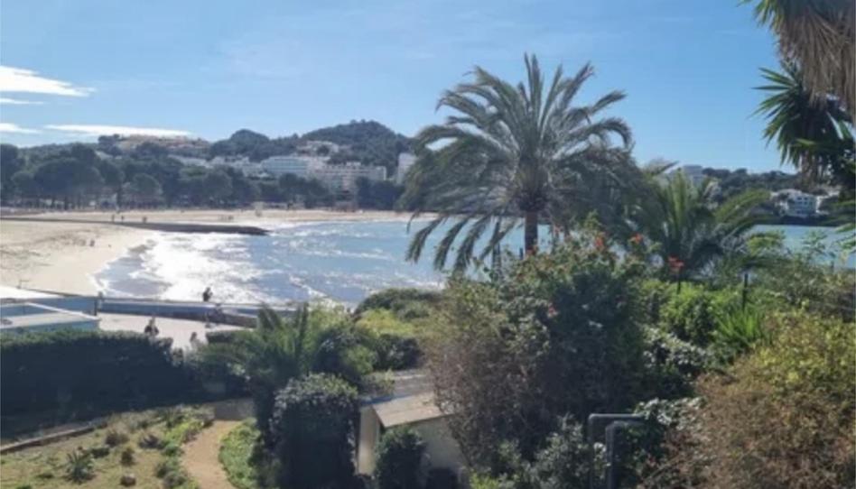 Flat for rent in Carrer de Ramon de Montcada, 44, Costa de la Calma, Calvià - image 1 Photo 1 of Flat for rent in Carrer de Ramon de Montcada, 44, Costa de la Calma, Calvià