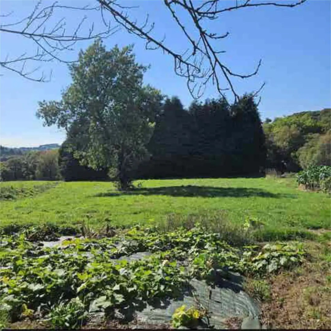 Casa o xalet en venda a Aranga Casa o xalet en venda en Aranga amb Jardí privat i Traster