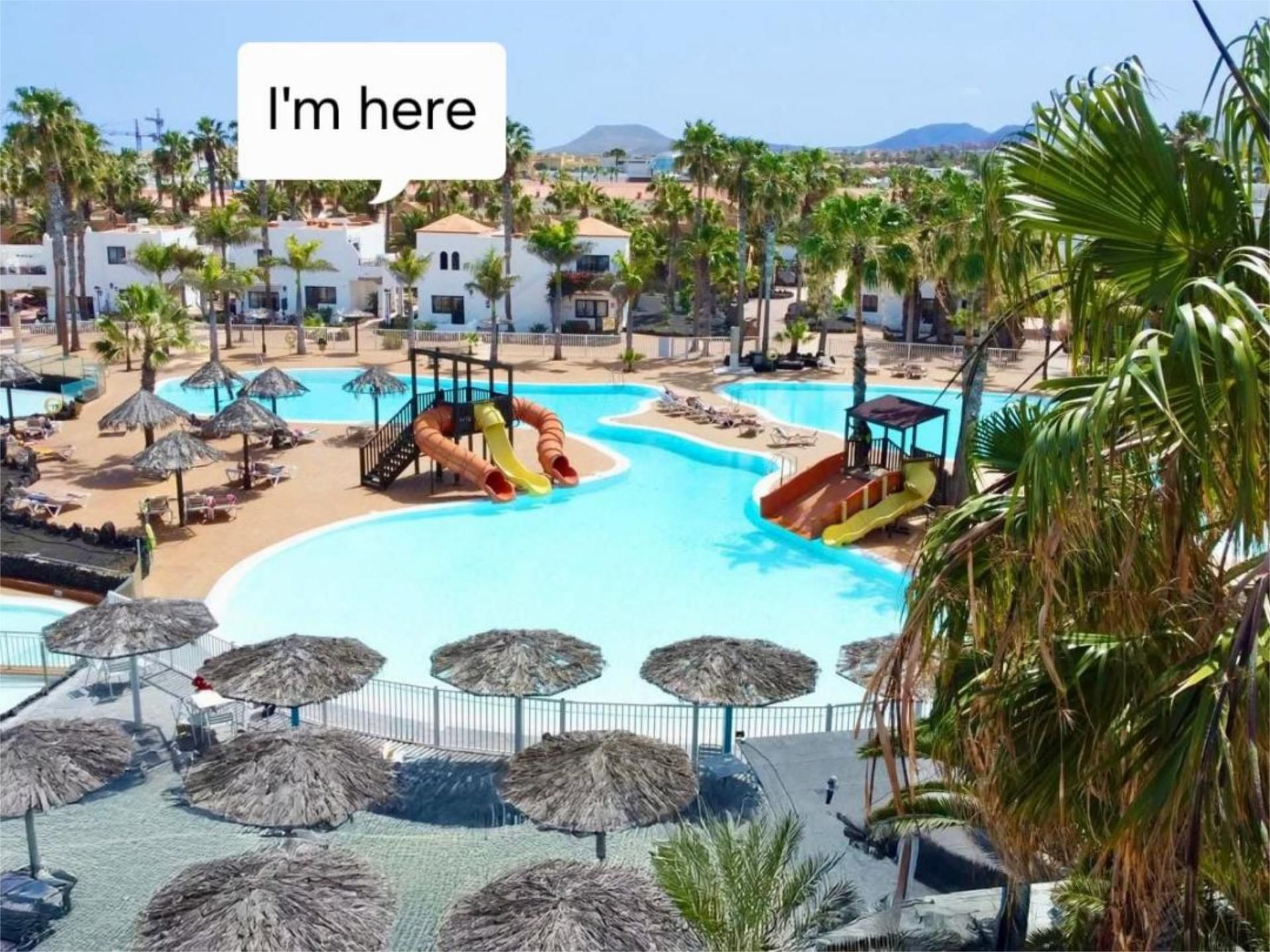 Schwimmbecken von Wohnung zur Miete in La Oliva mit Terrasse, Schwimmbad und Möbliert