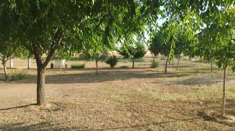 Terreno en venta en Carretera, 229, Área Rural-Valverde-Las Casas, Ciudad Real Capital - imagen 3 Foto 3 de Terreno en venta en Carretera, 229, Área Rural-Valverde-Las Casas, Ciudad Real Capital