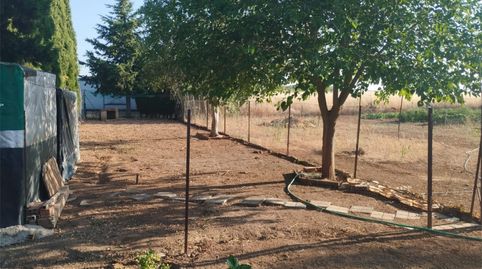 Terreno en venta en Carretera, 229, Área Rural-Valverde-Las Casas, Ciudad Real Capital - imagen 5 Foto 5 de Terreno en venta en Carretera, 229, Área Rural-Valverde-Las Casas, Ciudad Real Capital