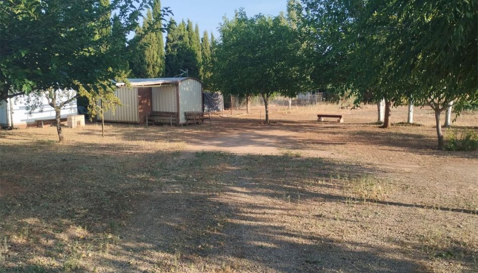 Terreno en venta en Carretera, 229, Área Rural-Valverde-Las Casas, Ciudad Real Capital - imagen 1 Foto 1 de Terreno en venta en Carretera, 229, Área Rural-Valverde-Las Casas, Ciudad Real Capital