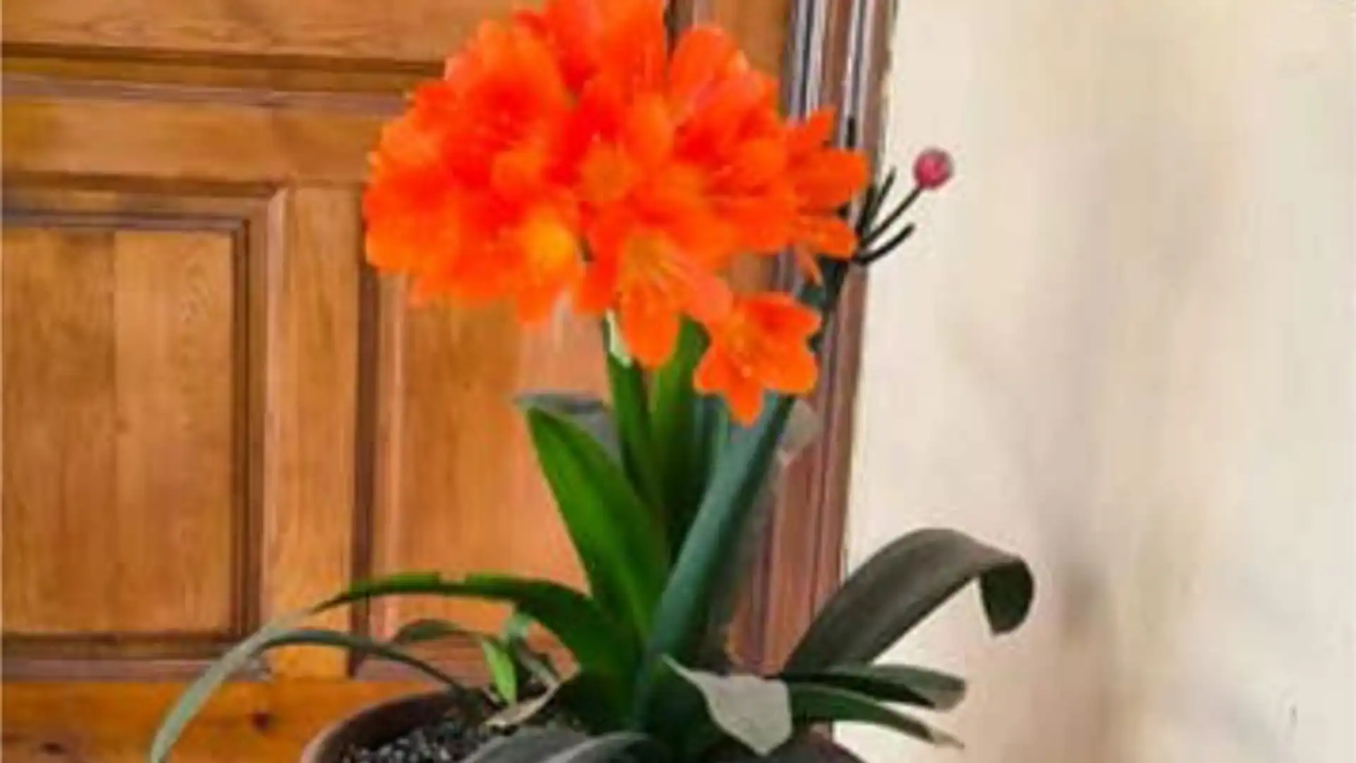 Jardín de Oficina de alquiler en  Sevilla Capital con Aire acondicionado