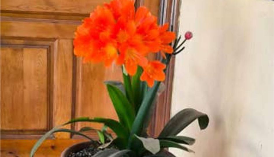 Oficina de alquiler en San Lorenzo, Sevilla Capital - imagen 1 Foto 1 de Oficina de alquiler en San Lorenzo, Sevilla Capital